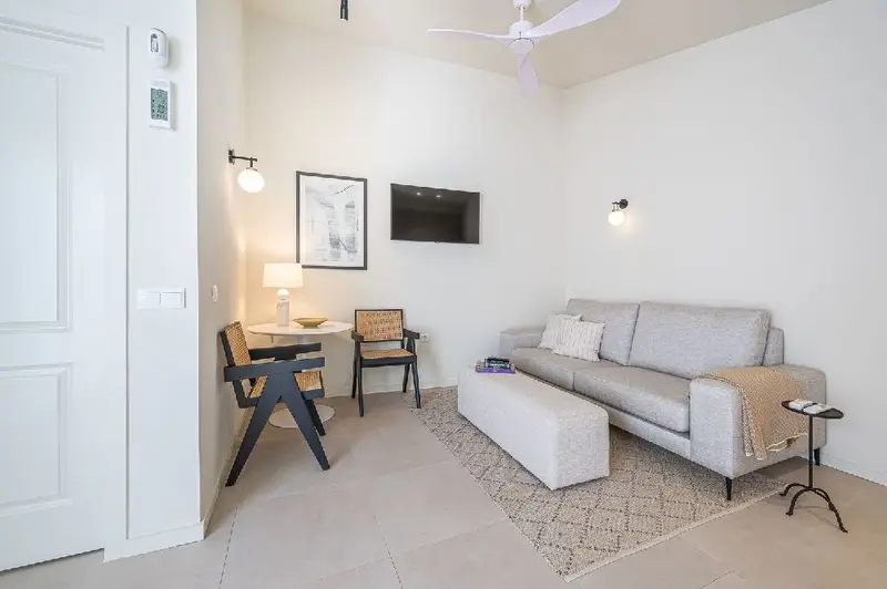 Alquiler Piso 1 Dormitorio Centro Málaga Terraza