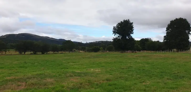 Venta Terreno en Mazcuerras 3937m2