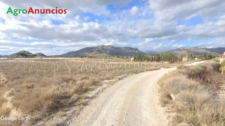 Venta  de Finca de regadío en Alicante