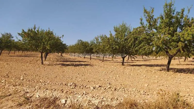 Finca Rustica en Noblejas con Almendros en Producción