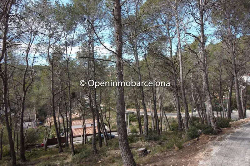 Solar Parcela en Venta Olivella Barcelona