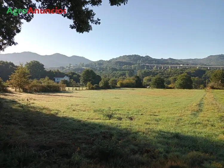 Venta  de Finca rústica en Ourense