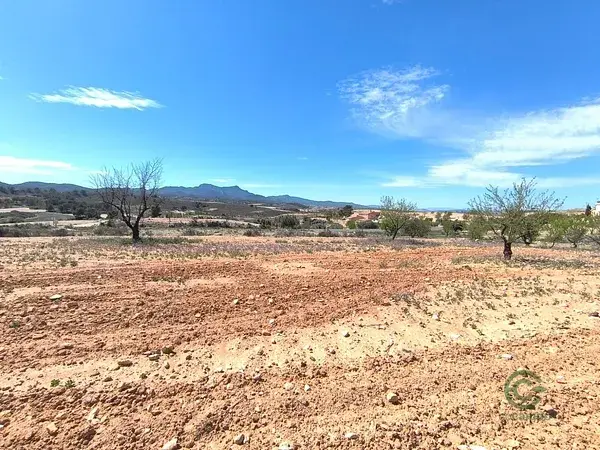 Almendro 034ha Jumilla Murcia Inversión Agricola