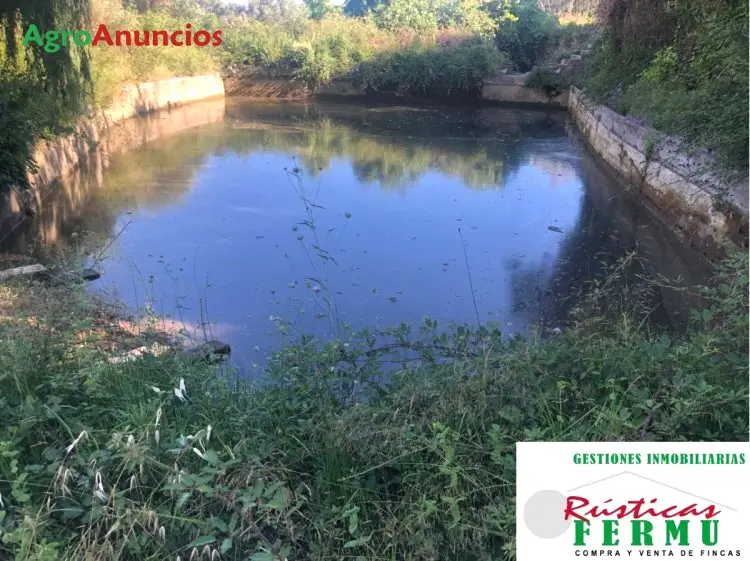 Venta  de Finca de secano y regadío en Granada