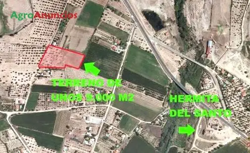 Venta Finca Regadío Olivos Higueras Cáceres