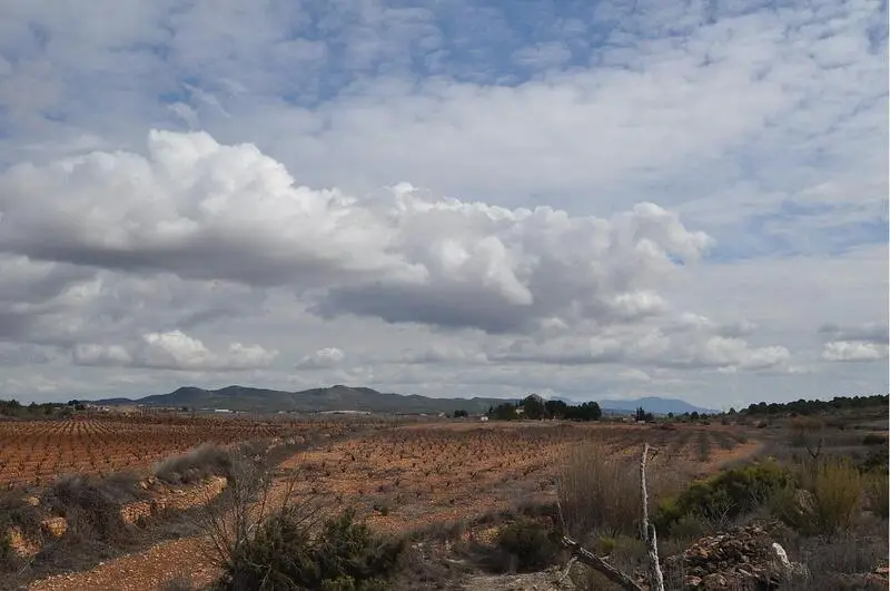 Terrenos en venta
Pinoso, Alicante