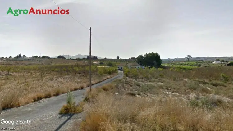 Venta  de Finca de regadío en Murcia