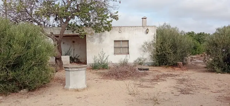 Venta Finca Marquesado Chiclana 4327m2 5 Dorm Piscina