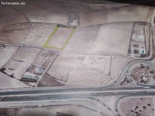 Terreno Rustico en Venta Almansa 15762m2