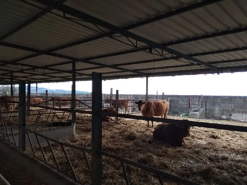 Venta Parcela Rustica El Bujeo Tarifa 3406m2 284786m2 Vistas Estrecho