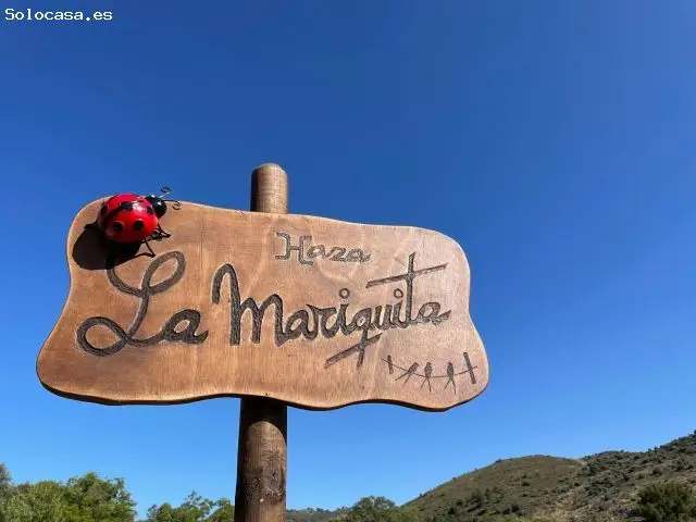 Finca Rustica en Tocón de Quentar para Casa de Madera