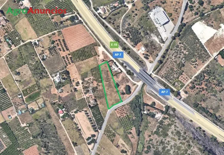 Venta Terreno Regadío Pedreguer Alicante 4584m2