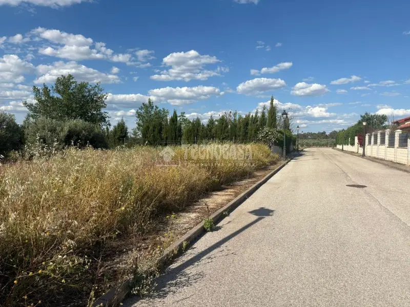 Terreno en Venta San Roque Linares 1050m2