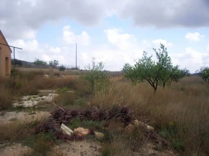 Venta Casa Rural La Romana 11000m2