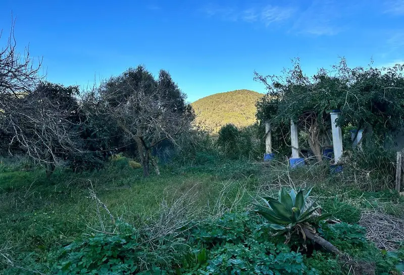 Casa Rural en San Jose Ibiza - Reforma - Pozo - Almacén