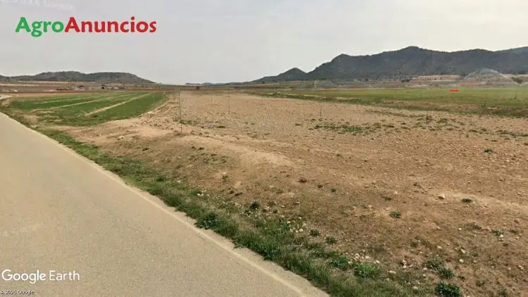 Venta  de Finca de almendros en Murcia