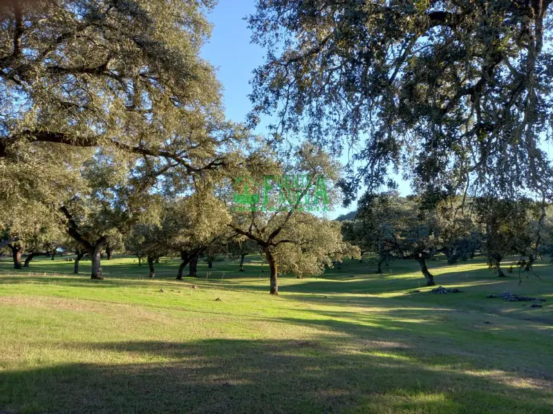 Venta Finca Cala Minas de Cala 200m2