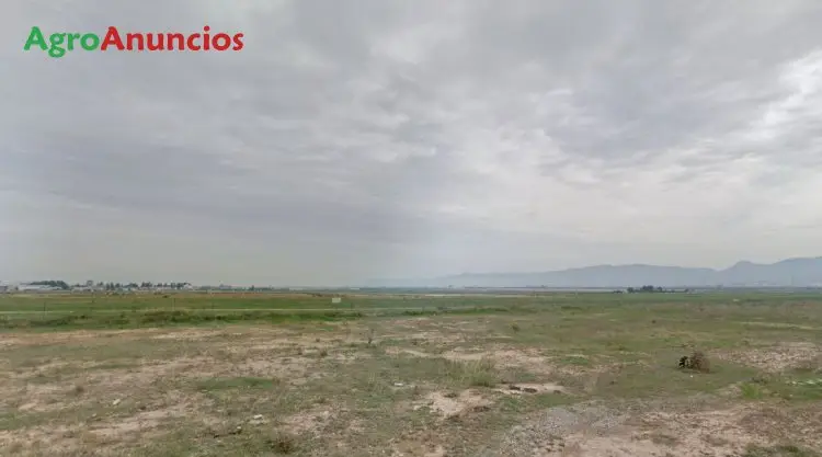 Venta  de Finca de recreo en Murcia