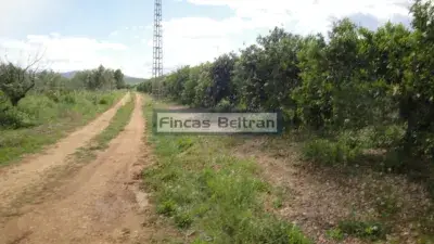 Finca rústica en venta en Polígono 18, Parcela 153