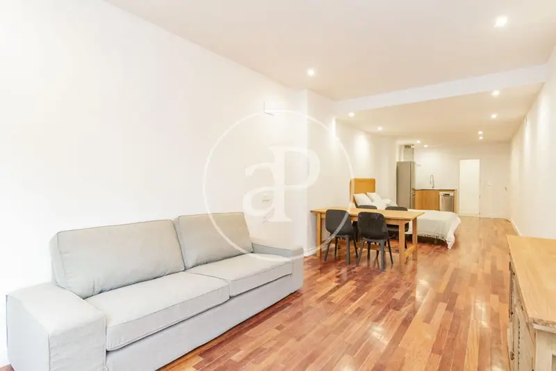 Estudio Amueblado Salamanca Madrid Cerca de Comercio y Restaurantes