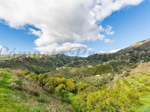 Casa de Campo con Aguacates en Frigiliana