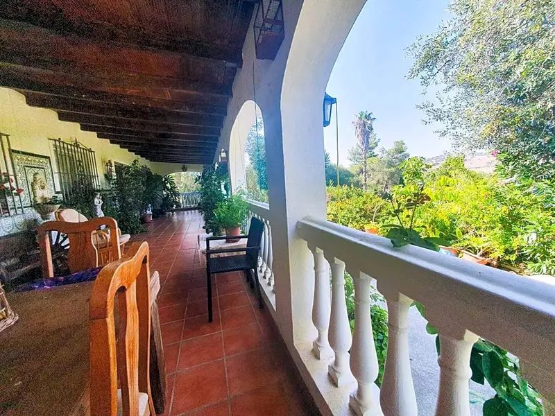 Finca Rural Sotogrande 25600m2 Villa 250m2 Arboles Frutales