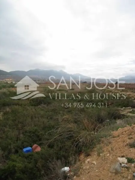 Venta de Parcela en La Romana Alcana 13765m2