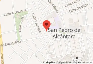 Subasta de Vivienda en san pedro de alcantara, 39, Torrent