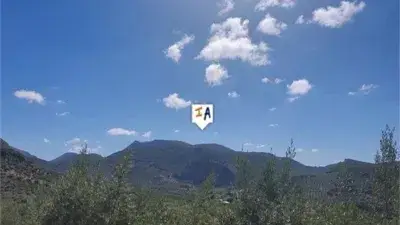 Finca Rústica en Venta en Frailes - Cortijo con Encanto