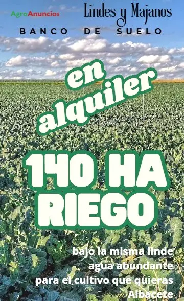 Alquiler Finca Regadío 140 Ha Albacete