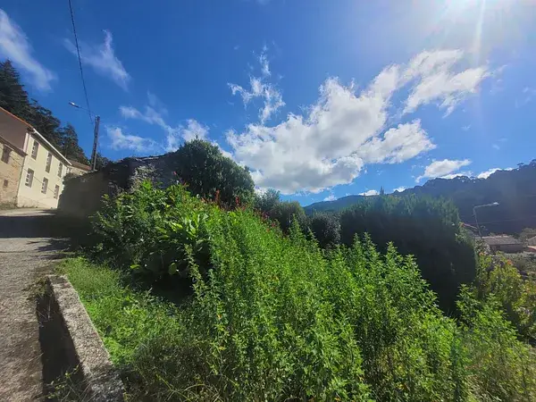 Casa de Piedra para Restaurar con Finca en La Coruna Lousame