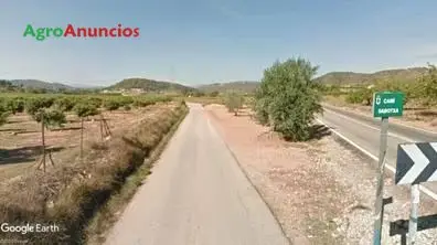 Venta  de Finca de regadío, opción vivienda en Valencia