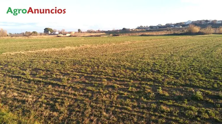 Venta  de Finca de secano con pac en Soria