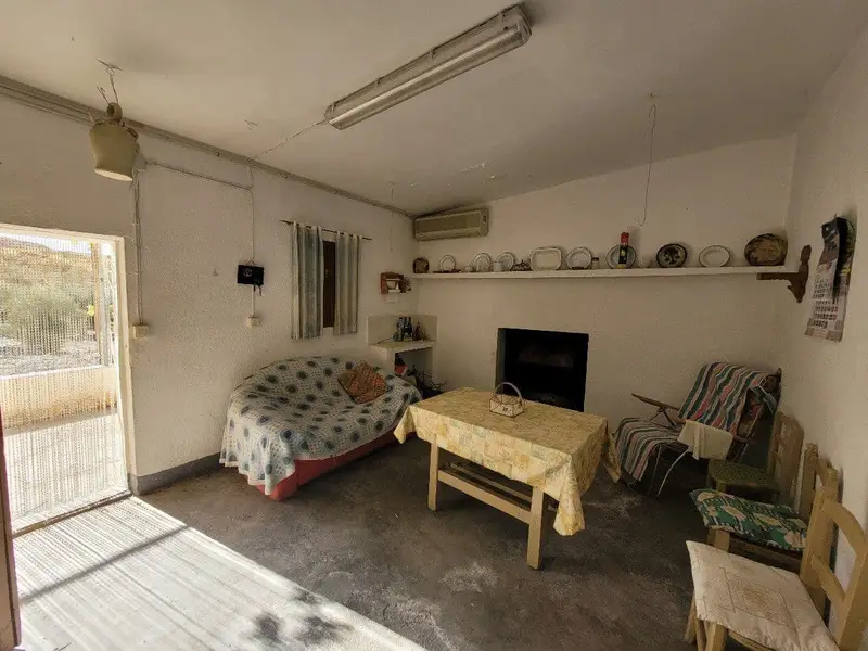 Finca Rustica en Senes Almeria con 400 Olivos y 500 Almendros
