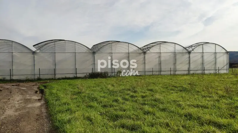 Finca Rustica Invernadero Hidroponico Automatizado Erandio