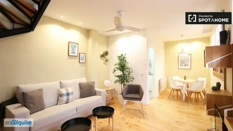 Apartamento 1 Dormitorio Centro Madrid