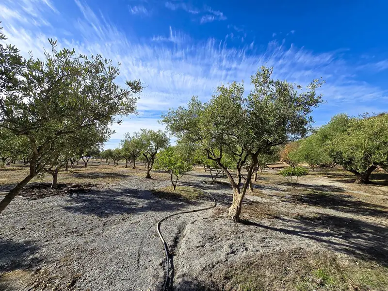 Venta Terreno Gorgoracha Velez Benaudalla