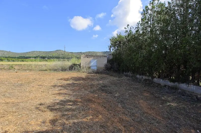 Finca Rustica en Venta Alcanar Tarragona