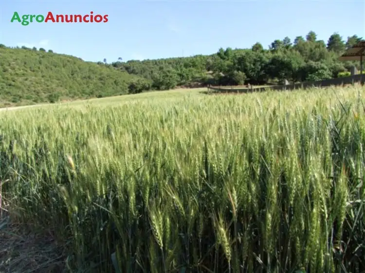 Compra  de Finca rústica en Lleida