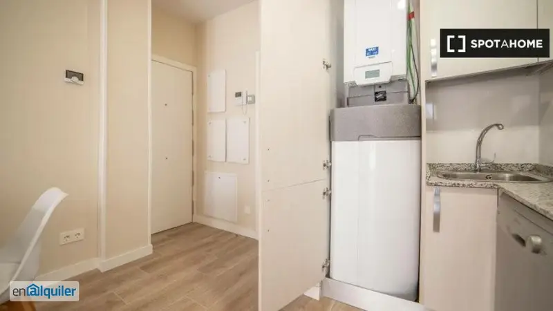 Apartamento 1 Dormitorio Prosperidad Madrid Profesionales