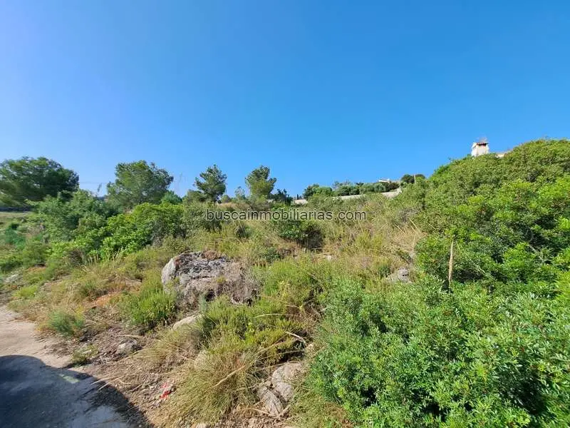 Parcela Rustica en Venta Alberic 1648m2 San Cristobal