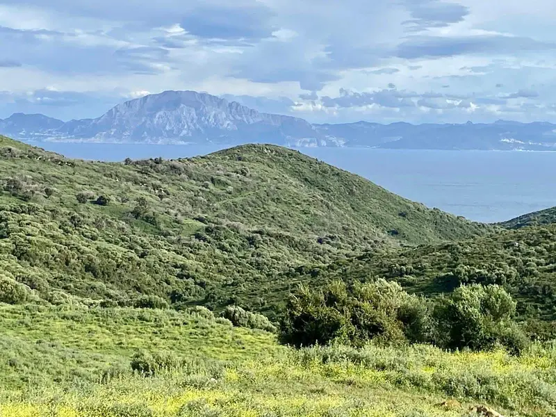 Cortijo con Vistas al Estrecho en Tarifa 7 Dormitorios