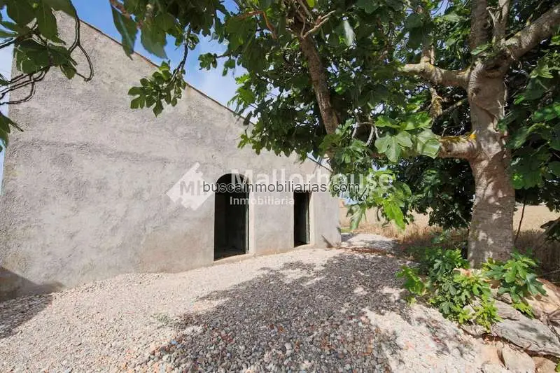 Finca Rustica en Venta Muro 15324m2