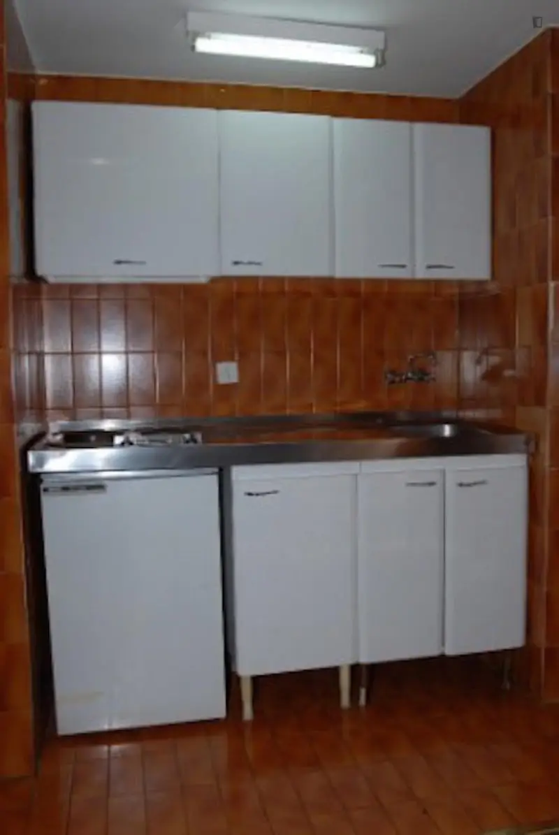 Apartamento 1 Dormitorio Madrid Centro Estudiantes