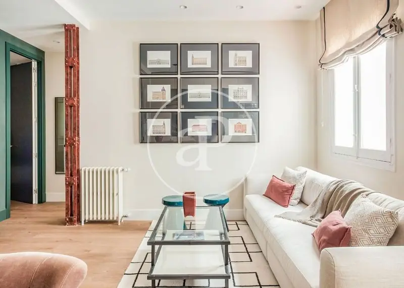 Apartamento en Salamanca Madrid Amueblado Reformado 2 Dormitorios