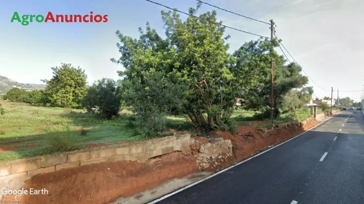 Finca Rustica Castellon Vivienda 10171m2