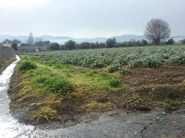 Haza de Cultivo en Granada 1530m2 Regadío