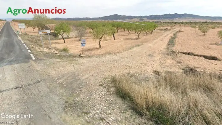 Venta Terreno Llano Labor Yecla Murcia 28580m2