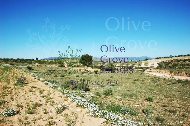 Terreno en Venta Caudete Albacete