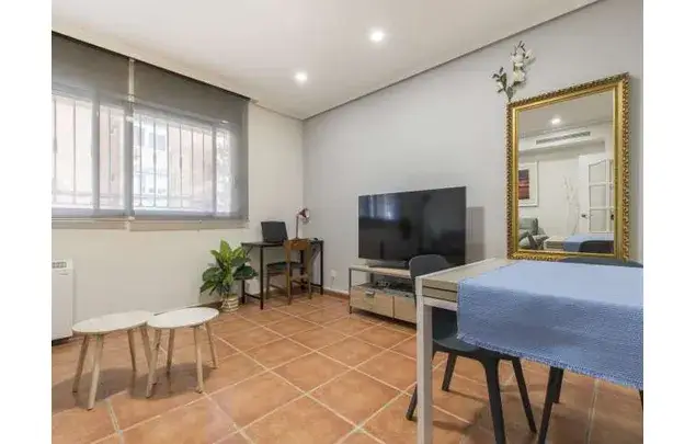 Alquiler Apartamento 1 Dormitorio Madrid